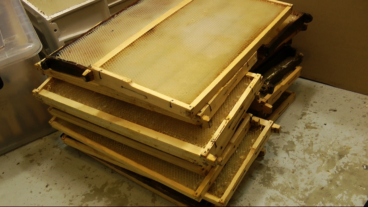 Beekeeping how to SAVE your wired beehive honey frames